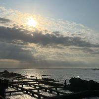 夏潛冬露👌🏼
