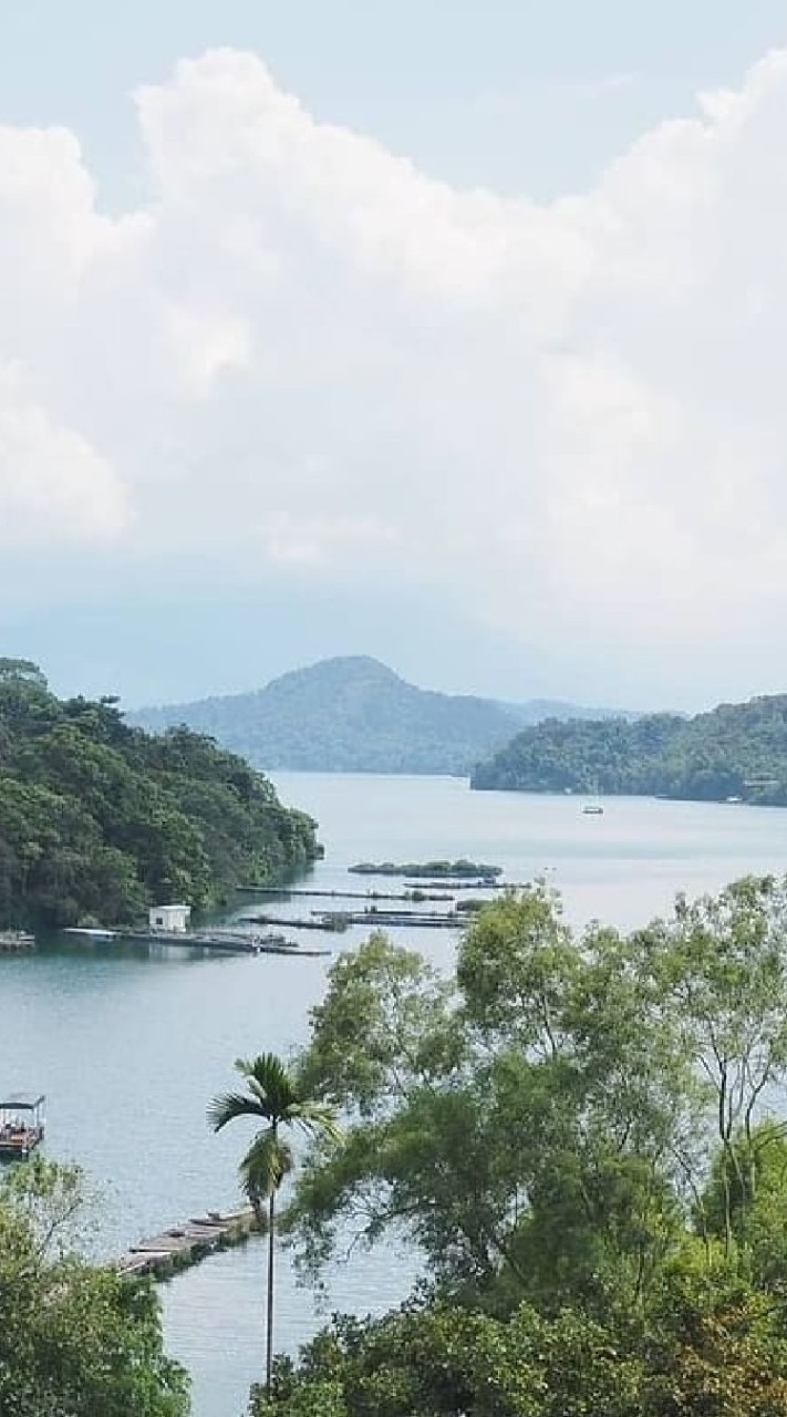 魚池鄉民聊天室