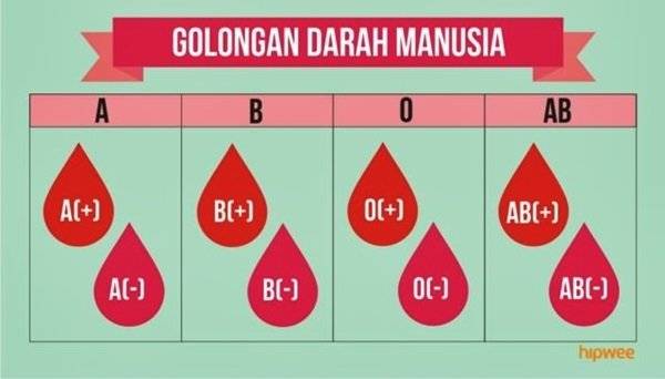 Jangan Hanya Golongan Darah Kamu Juga Harus Tahu Rhesus Darah Opini Stories Line Today