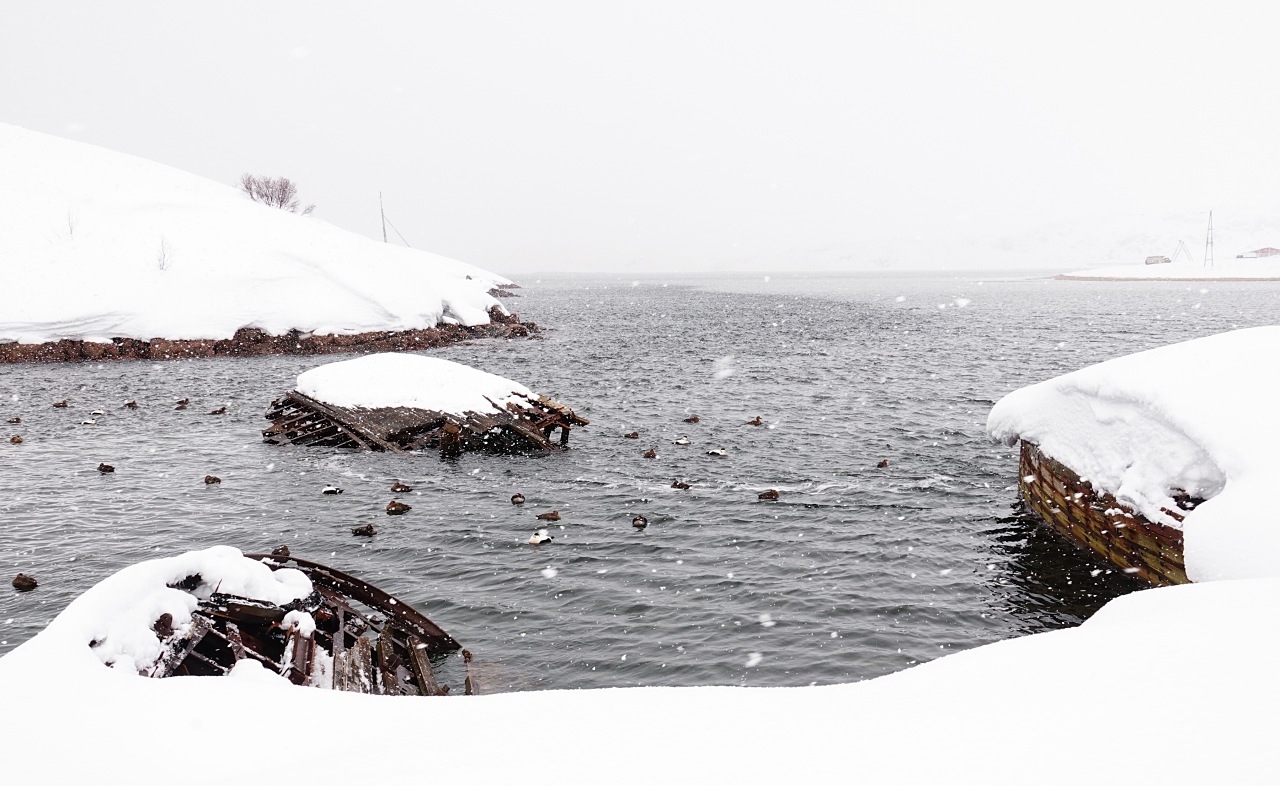 旅遊攝影師貝琪梨的極地遠征！Sony RX10 IV 極光 / 飛羽實戰拍攝分享