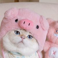 梨花白