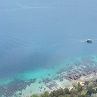 越南辣台妹旅遊