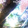 【𝐔𝐧𝐝𝐞𝐫𝐰𝐨𝐫𝐥𝐝 異世界學院對戲】