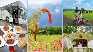 【花蓮 景點/美食】大農大富平地森林園區 單車深度遊 看紅藜麥 找樹眼 拍蟻窩 花蓮海風美食館 平價異國風味料理 北花線－回遊號 蘇花改初體驗