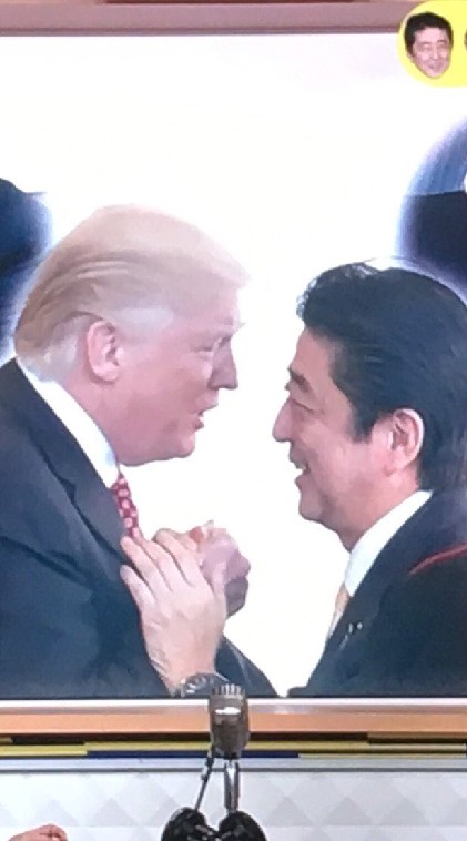 安倍晋三マイクロビキニ部(トラ安倍)