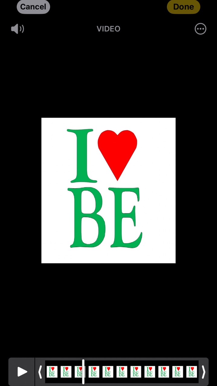 Biz Eng BPC