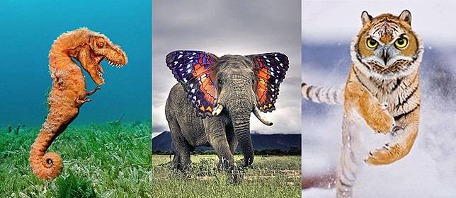 Download 530 Gambar Fauna Keren Paling Bagus Gratis