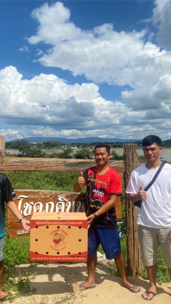 ชุ้ม รัฐฉาน ไทยไหญ่