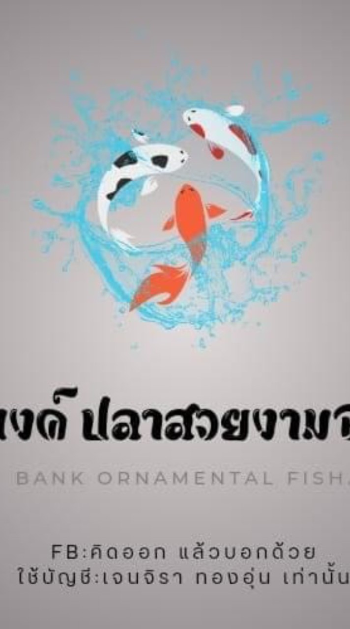 กลุ่มจำหน่ายปลาสวยงาม @แบงค์ปลาสวยงามBJ.