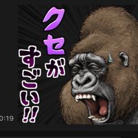 gorillaの檻