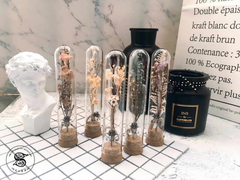 [優波羅花]乾燥花玻璃試管花禮 擺飾 交換禮物