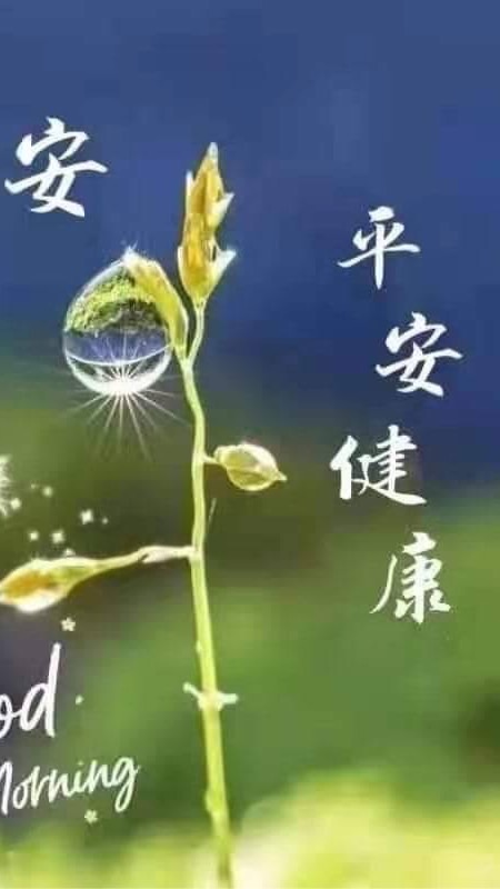 同理心優質看護中心