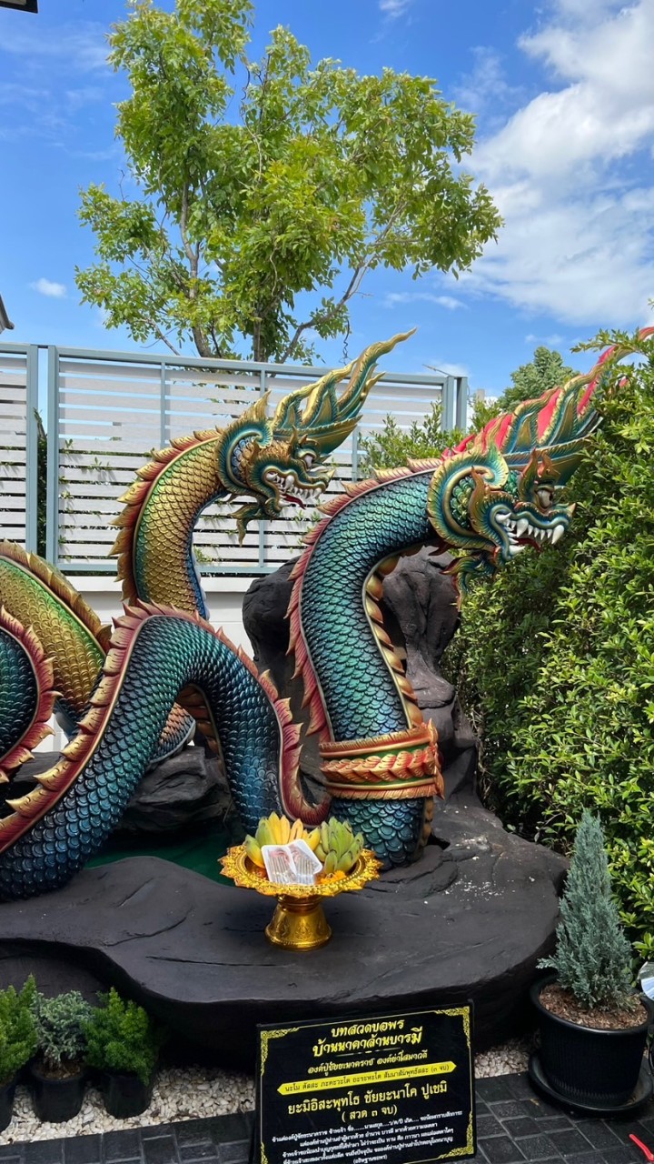 สายบุญ…นาคาล้านบารมี645