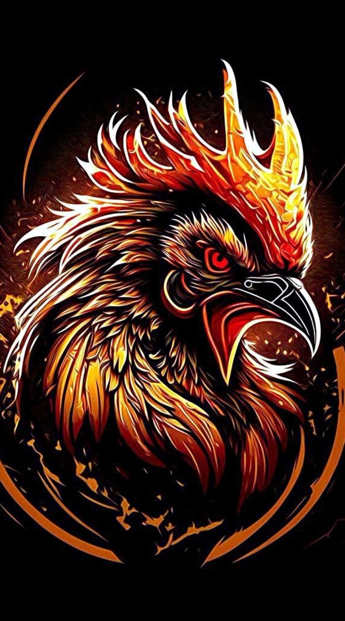 โปรแกรมไก่ชน(รายการแข่ง/ราคา)