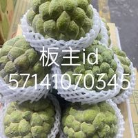 蘆洲撿便宜（海鮮.水果團購美食）