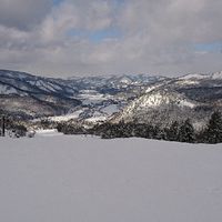 栃木スノーボード