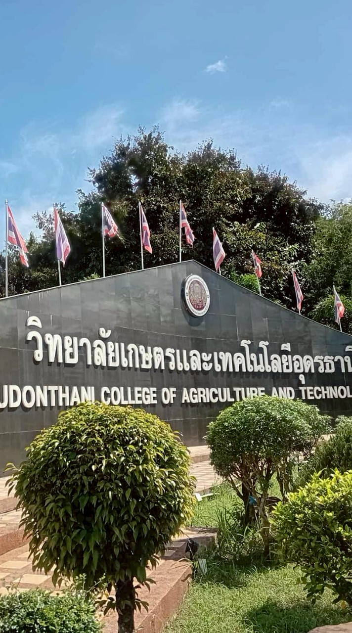 แสดคาเฟ่