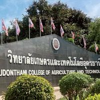 แสดคาเฟ่