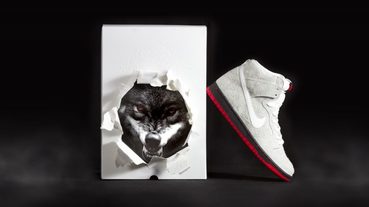 新聞分享 / 狼出羊關 Black Sheep x Nike Dunk High SB Pro 聯名作