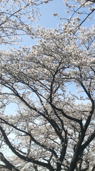 愛知 岐阜 三重40代50代のシングルさんとそれに近い方来てきて〜