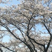 愛知 岐阜 三重40代50代のシングルさんとそれに近い方来てきて〜