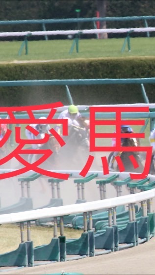 OpenChat 愛馬