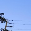 《メンバー募集中》自傷（💊、🐿🦟等）してる人おいで！
