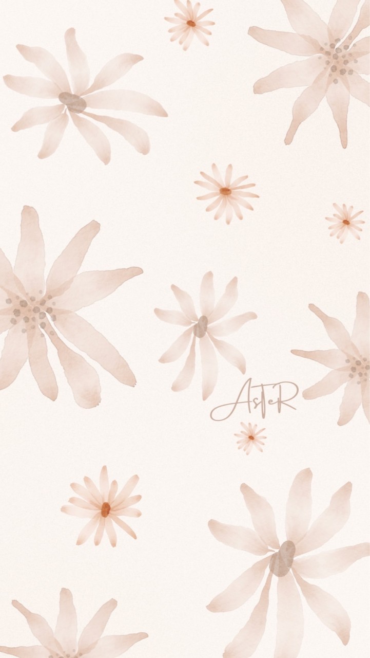 AsTeR✦選品研究所✦