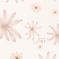 AsTeR✦選品研究所✦