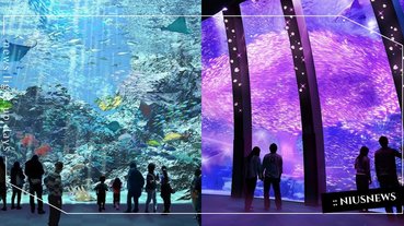 桃園水族館「Xpark」開幕時間＋票價出爐！深海尋覓＆雨林探險夢幻展區搶先看