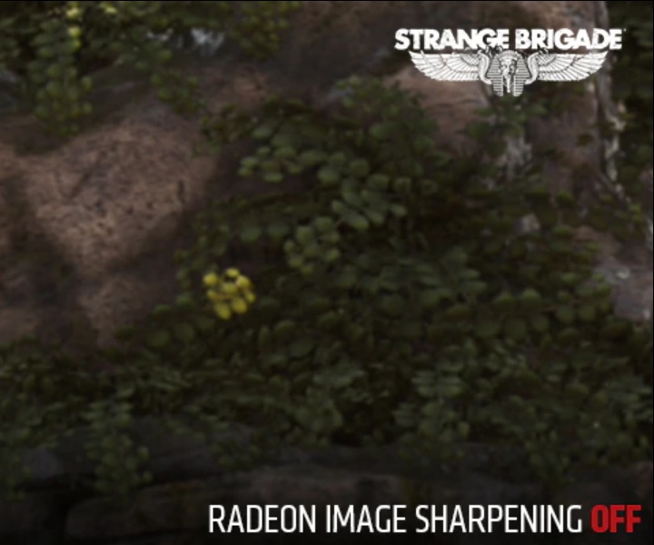 從官方提供的比較示意圖可以看到，關閉Radeon Image Sharpening時畫面顯得相當模糊。