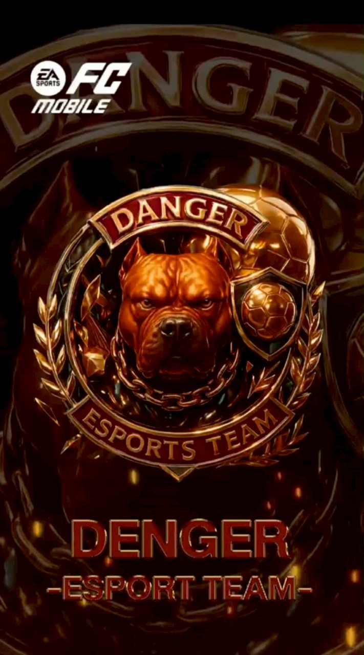 DANGER  ESPORTS