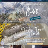 ตรังแพอาหารทะเลสดปลอดสาร เรือเล็ก🦀🦑🐠🦐🦞🐙🚤