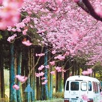 旅遊大亨三群（國旅專屬）