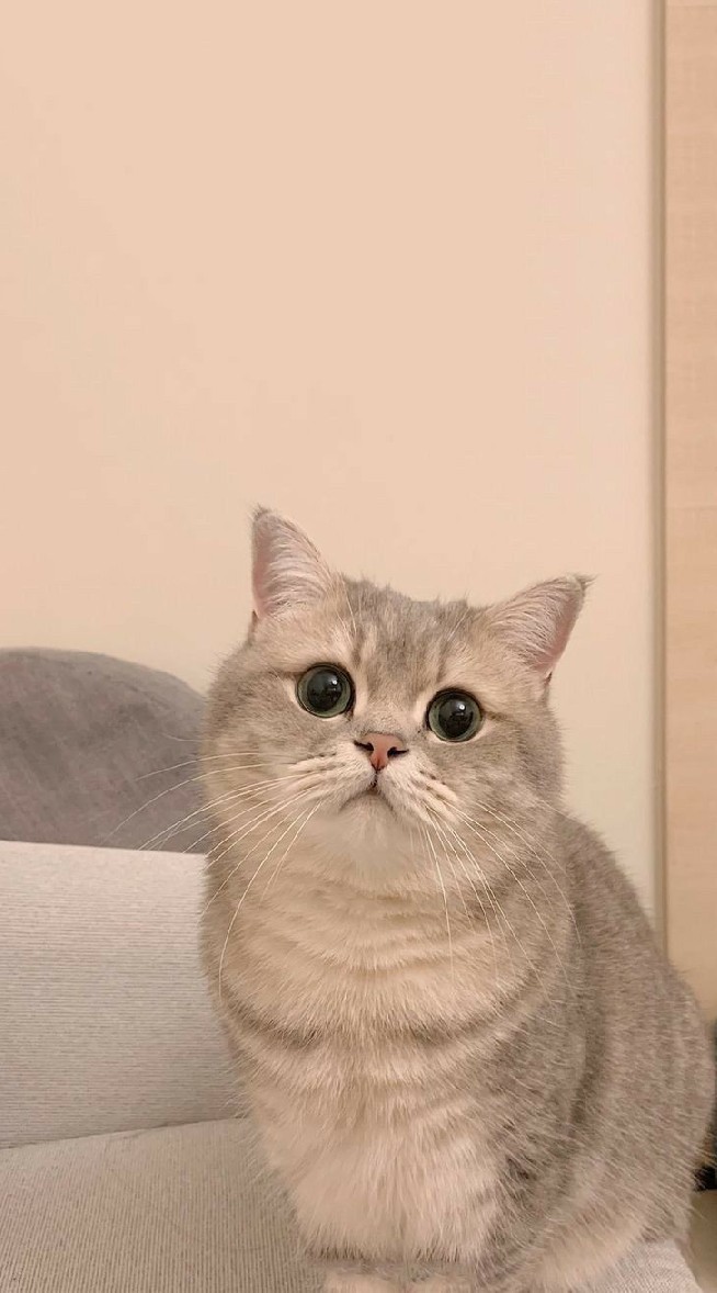 กลุ่มนี้มีแต่คนหล่อ😾