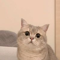 กลุ่มนี้มีแต่คนหล่อ😾