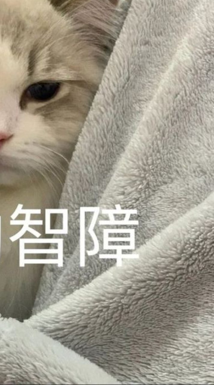 608班群…爛