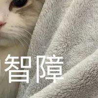 608班群…爛