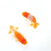 ปลารันชู TOP VIEW RANCHU
