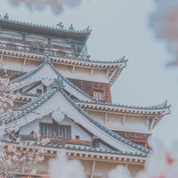 Moon 私藏好物社