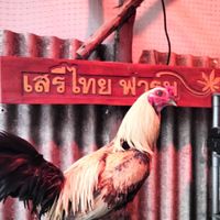 ซุ้ม เสรีไทย ฟาร์ม ☮️