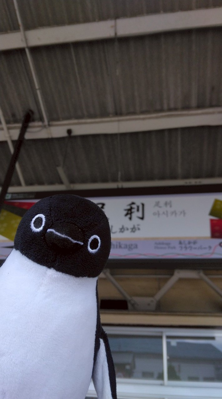 Suicaペンギン好き集まれ！