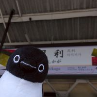 Suicaペンギン好き集まれ！
