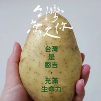 台派寶寶愛小地瓜