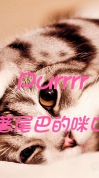 《Purrrr》~追著尾巴的咪口醬