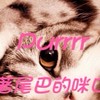 《Purrrr》~追著尾巴的咪口醬