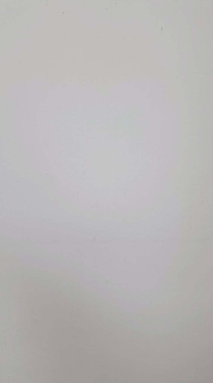 南投埔里早市甜甜圈王子