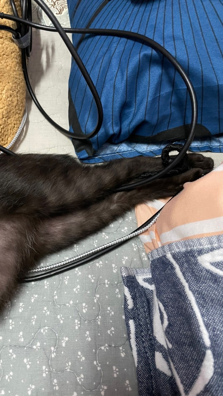 珍苑小編隨便賣