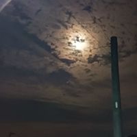 アオハルパーティ