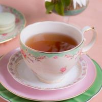 和歌山カフェ＆喫茶店めぐり